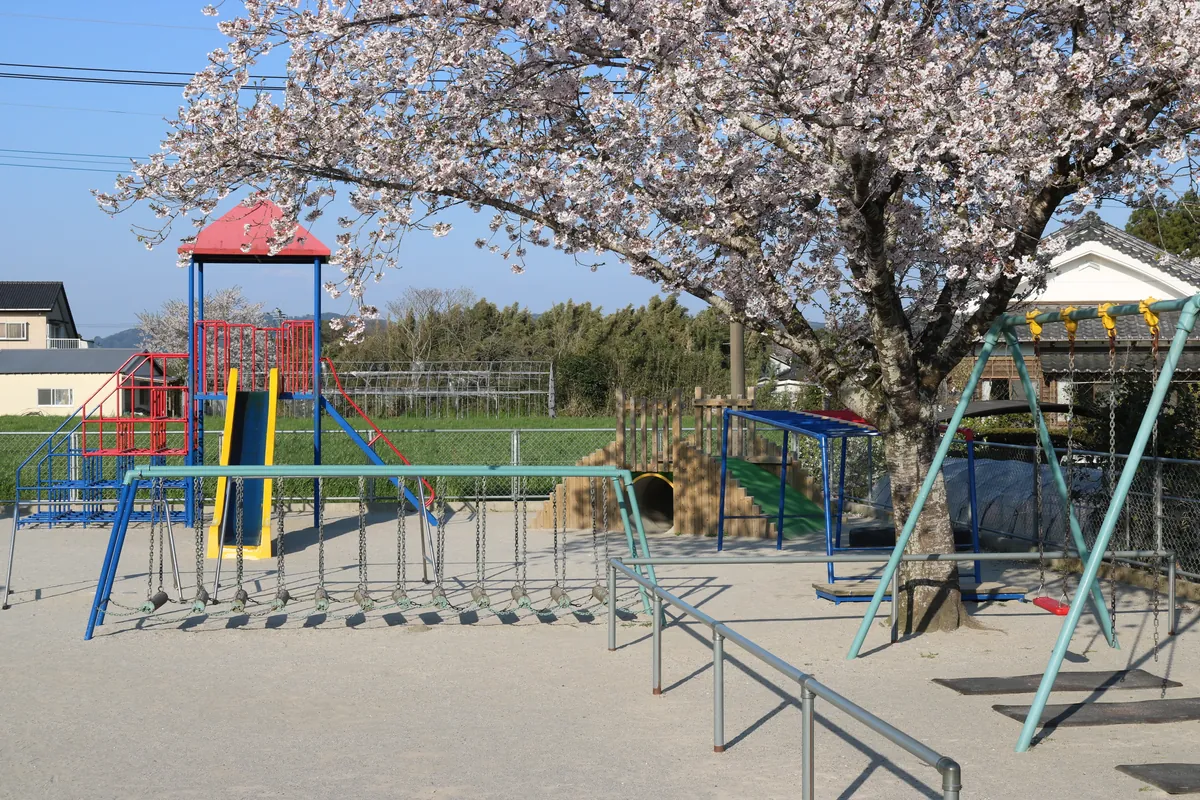 桜の咲く園庭と遊具